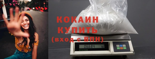 дмт Лабытнанги