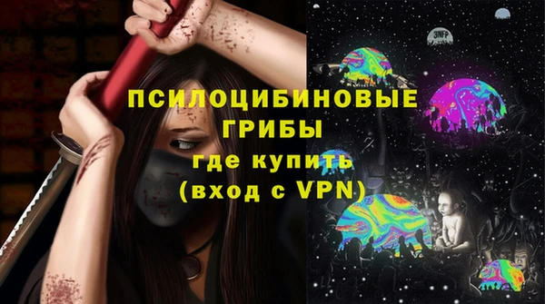 ешки Ладушкин