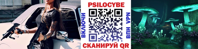 Псилоцибиновые грибы MAGIC MUSHROOMS  Купить закладки  Тюкалинск 
